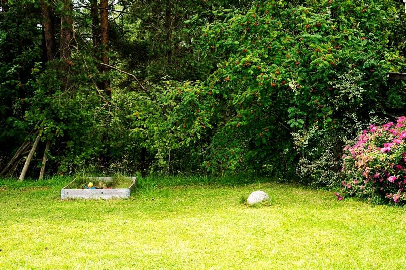 Czarne gm. Filipów, Dom 97 m2 nad jeziorem, działka zalesiona z plażą i pomostem